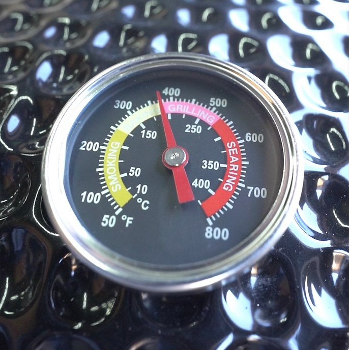 Close-up of the lid thermometer showing Fahrenheit and Celsius scales with cooking-zone markings.