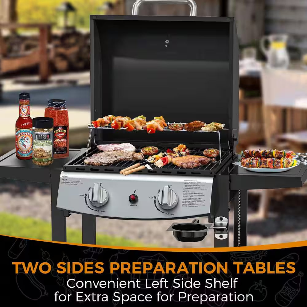 2 Burner Stainless Steel Portable Propane Gas Grill in Black